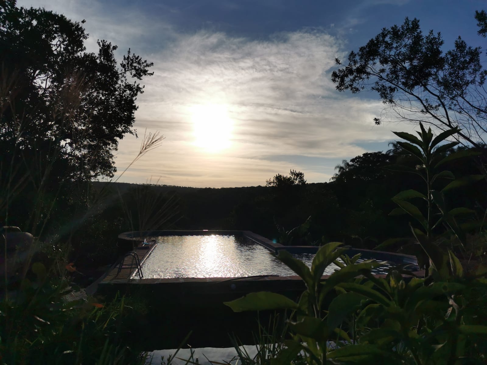 Imagen de WhatsApp 2025-11-29 a las 12.12.13_c6ea656a.jpg